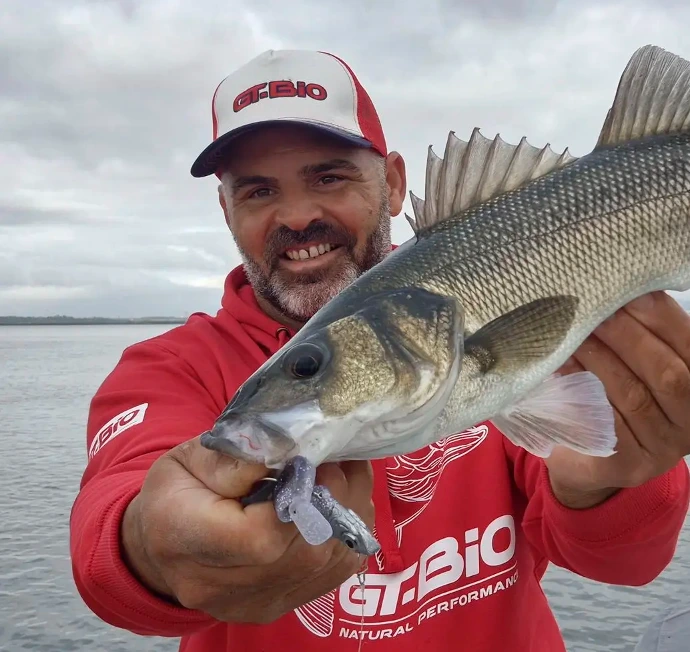 João Mendes GT-Bio