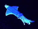 KS841-Kaki-Kamaleo-UV---Under-UV-Light.webp