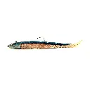 Nova Eel 155 – Single Combo – 15g –  Blue Shinner