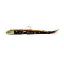 Nova Eel 155 – Single Combo – 25g –  Kaki Black