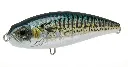 Zig Zag Dog 125 - Mackerel