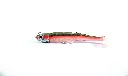 Body Roller Shad 145 - Combo + Body - 40g - Kaki Glow Fluo